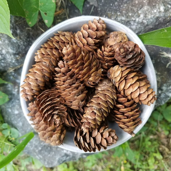 Meet your Posher, Chelsea - Picture 10 of 12